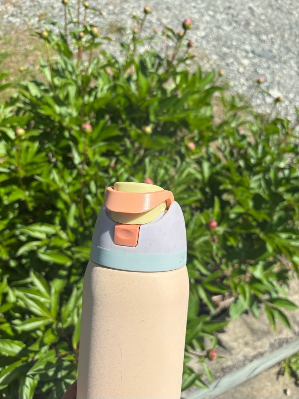 Owala Peach Stainless Water Bottle with Pastel Lid - Picture 4 of 7